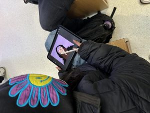 IMG 4516