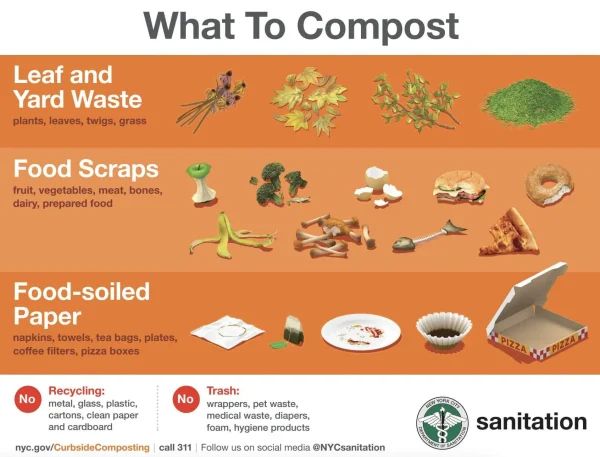 whattocompost